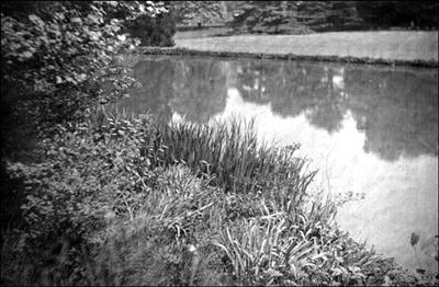 058 Dorothy Vassar-Smith Album c1920 &copy; CKLHS