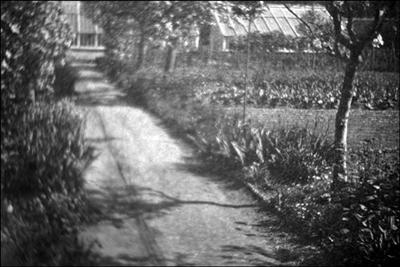 060 Dorothy Vassar-Smith Album c1920 &copy; CKLHS