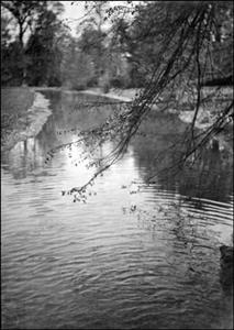 072 Dorothy Vassar-Smith Album c1920 &copy; CKLHS