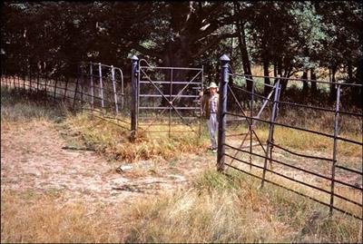 114 35mm slide Charlton Park 1976 &copy;J Rawes